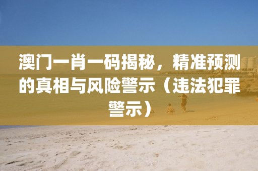 澳门一肖一码揭秘，精准预测的真相与风险警示（违法犯罪警示）