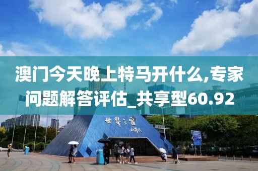 澳门今天晚上特马开什么,专家问题解答评估_共享型60.92