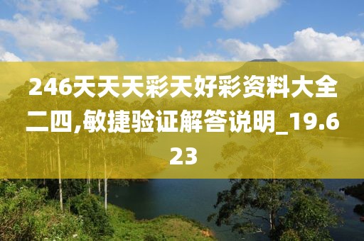 246天天天彩天好彩资料大全二四,敏捷验证解答说明_19.623