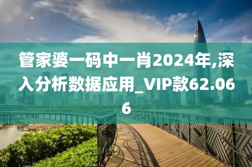 管家婆一码中一肖2024年,深入分析数据应用_VIP款62.066