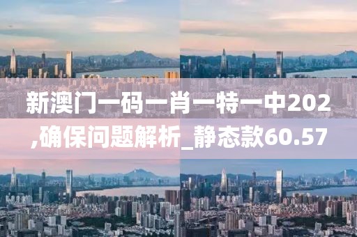 新澳门一码一肖一特一中202,确保问题解析_静态款60.57
