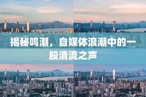 揭秘鸣潮，自媒体浪潮中的一股清流之声