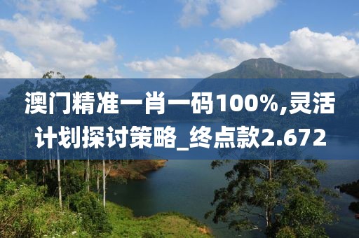 澳门精准一肖一码100%,灵活计划探讨策略_终点款2.672
