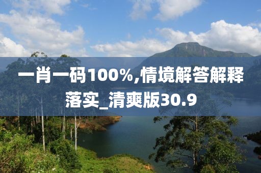 一肖一码100%,情境解答解释落实_清爽版30.9