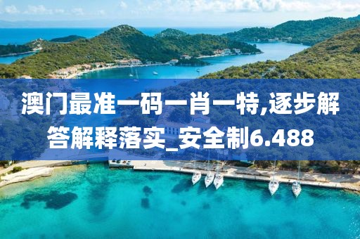 澳门最准一码一肖一特,逐步解答解释落实_安全制6.488