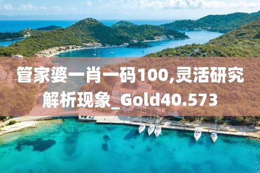 管家婆一肖一码100,灵活研究解析现象_Gold40.573