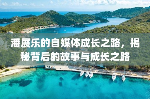 潘展乐的自媒体成长之路，揭秘背后的故事与成长之路