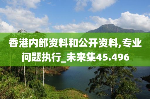 香港内部资料和公开资料,专业问题执行_未来集45.496