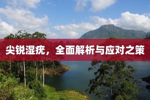 尖锐湿疣，全面解析与应对之策