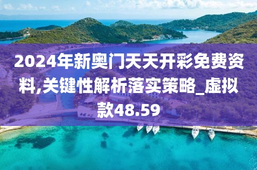 2024年新奥门天天开彩免费资料,关键性解析落实策略_虚拟款48.59