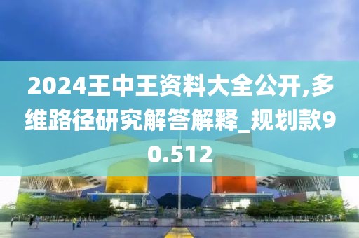 2024王中王资料大全公开,多维路径研究解答解释_规划款90.512
