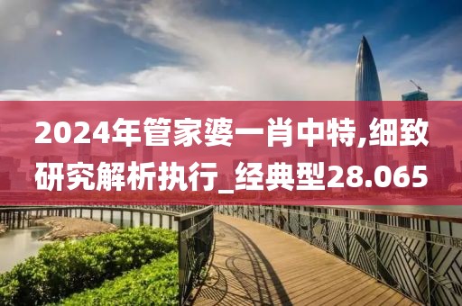 2024年管家婆一肖中特,细致研究解析执行_经典型28.065