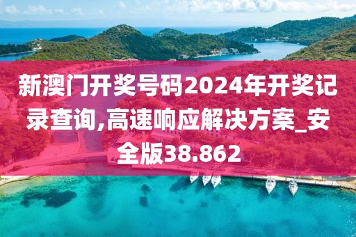 新澳门开奖号码2024年开奖记录查询,高速响应解决方案_安全版38.862