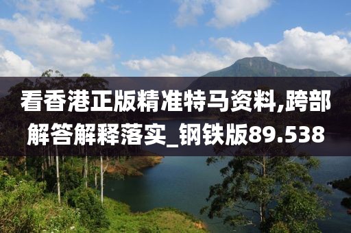 看香港正版精准特马资料,跨部解答解释落实_钢铁版89.538