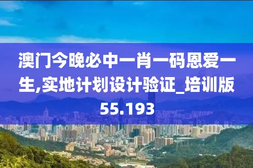 澳门今晚必中一肖一码恩爱一生,实地计划设计验证_培训版55.193