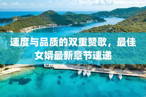 速度与品质的双重赞歌，最佳女婿最新章节速递