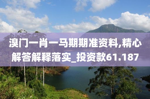 溴门一肖一马期期准资料,精心解答解释落实_投资款61.187