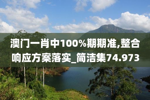 澳门一肖中100%期期准,整合响应方案落实_简洁集74.973
