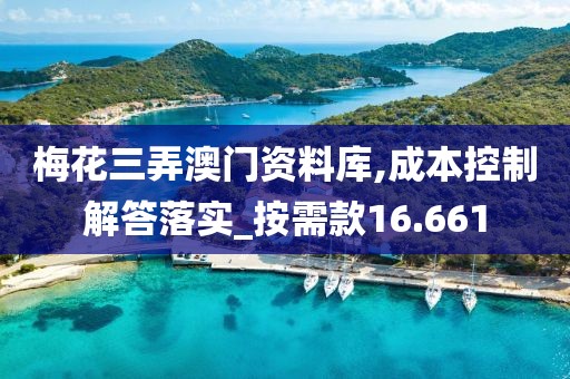 梅花三弄澳门资料库,成本控制解答落实_按需款16.661
