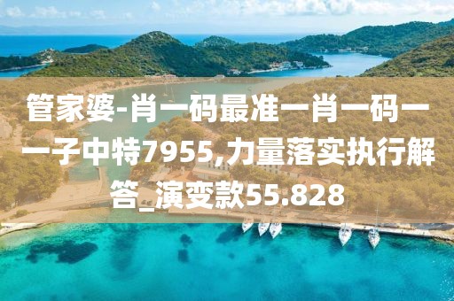 管家婆-肖一码最准一肖一码一一子中特7955,力量落实执行解答_演变款55.828