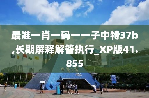 最准一肖一码一一子中特37b,长期解释解答执行_XP版41.855