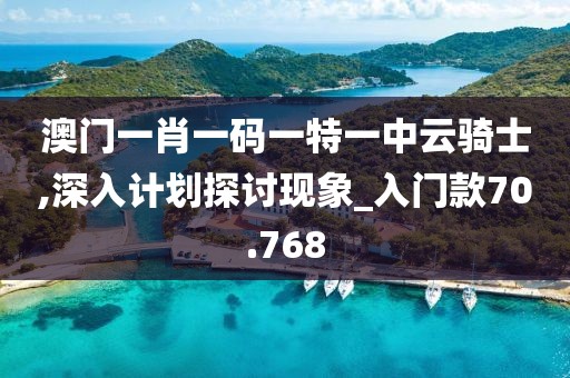 澳门一肖一码一特一中云骑士,深入计划探讨现象_入门款70.768