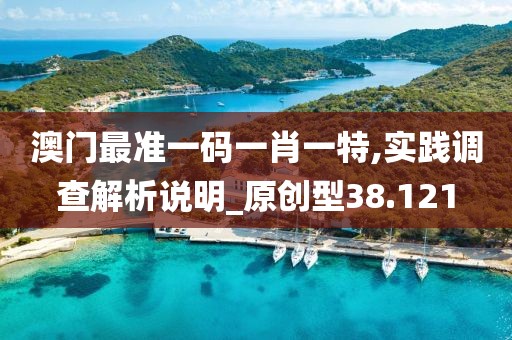 澳门最准一码一肖一特,实践调查解析说明_原创型38.121