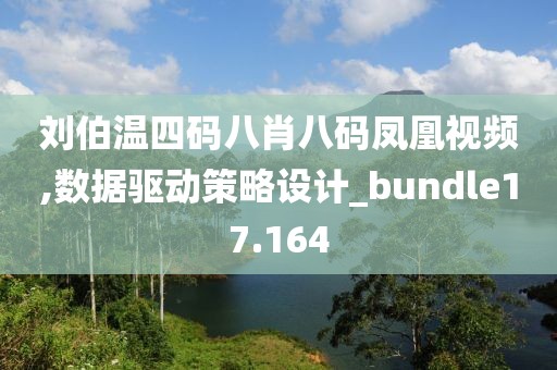 刘伯温四码八肖八码凤凰视频,数据驱动策略设计_bundle17.164