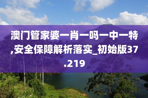 澳门管家婆一肖一吗一中一特,安全保障解析落实_初始版37.219