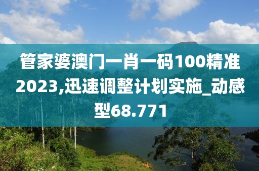 管家婆澳门一肖一码100精准2023,迅速调整计划实施_动感型68.771