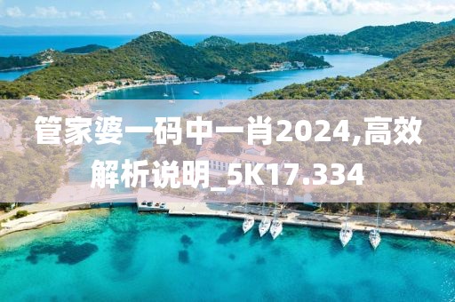 管家婆一码中一肖2024,高效解析说明_5K17.334