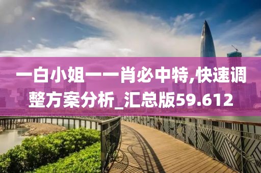一白小姐一一肖必中特,快速调整方案分析_汇总版59.612