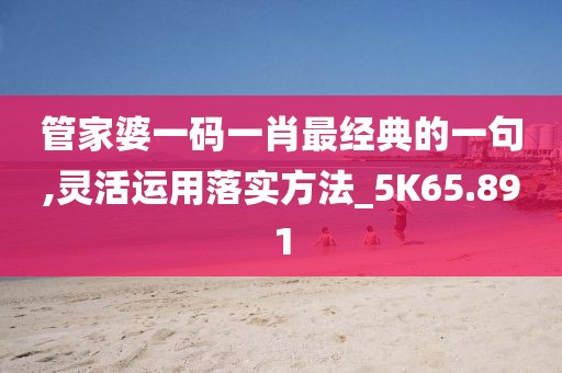管家婆一码一肖最经典的一句,灵活运用落实方法_5K65.891