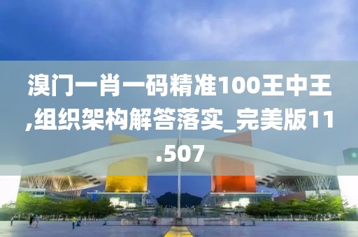 溴门一肖一码精准100王中王,组织架构解答落实_完美版11.507