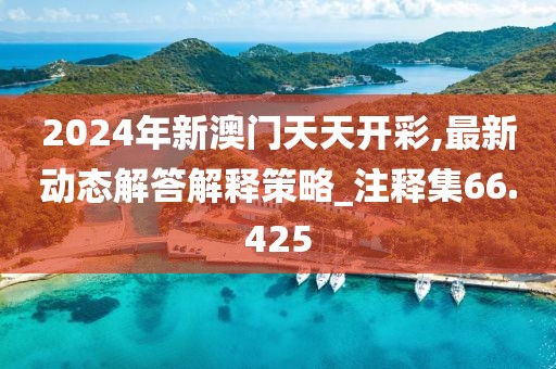 2024年新澳门天天开彩,最新动态解答解释策略_注释集66.425