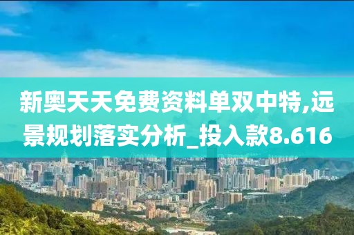 新奥天天免费资料单双中特,远景规划落实分析_投入款8.616