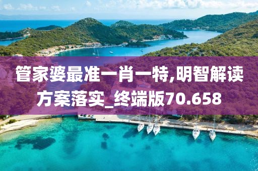 管家婆最准一肖一特,明智解读方案落实_终端版70.658