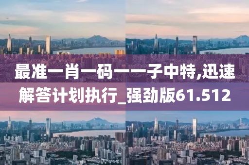 最准一肖一码一一子中特,迅速解答计划执行_强劲版61.512