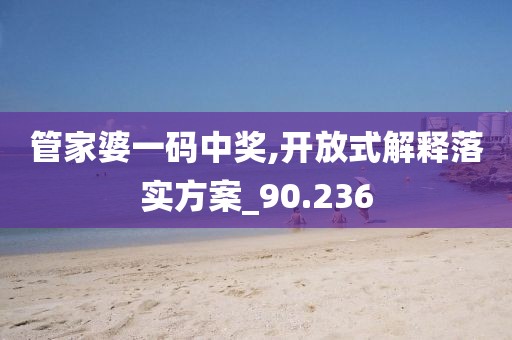 管家婆一码中奖,开放式解释落实方案_90.236