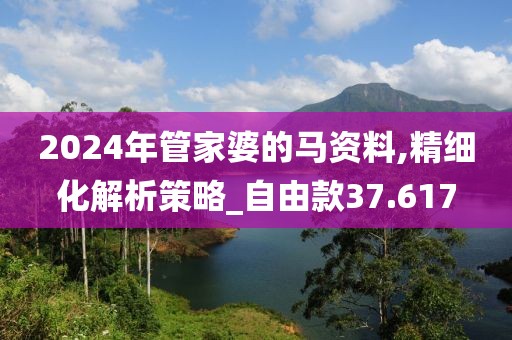 2024年管家婆的马资料,精细化解析策略_自由款37.617
