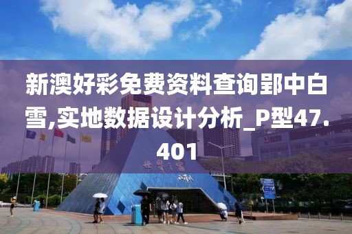 新澳好彩免费资料查询郢中白雪,实地数据设计分析_P型47.401