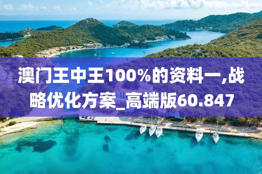 澳门王中王100%的资料一,战略优化方案_高端版60.847
