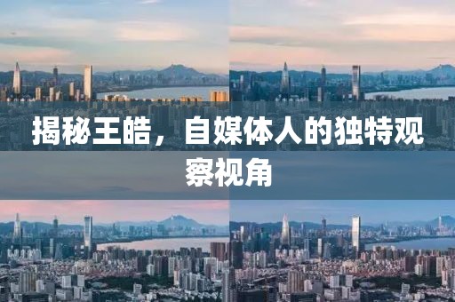 揭秘王皓，自媒体人的独特观察视角