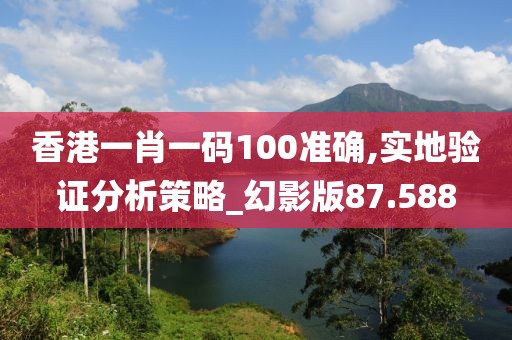 香港一肖一码100准确,实地验证分析策略_幻影版87.588
