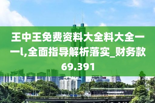 王中王免费资料大全料大全一一l,全面指导解析落实_财务款69.391