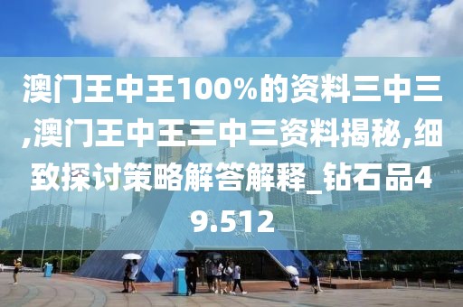 澳门王中王100%的资料三中三,澳门王中王三中三资料揭秘,细致探讨策略解答解释_钻石品49.512