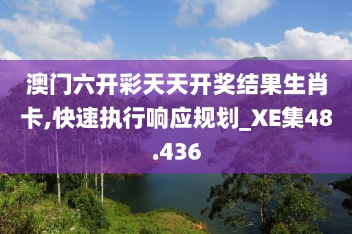 澳门六开彩天天开奖结果生肖卡,快速执行响应规划_XE集48.436