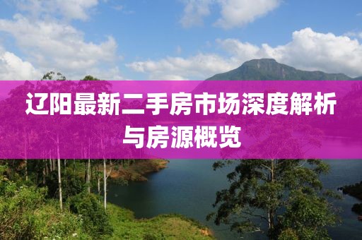 辽阳最新二手房市场深度解析与房源概览