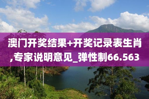 澳门开奖结果+开奖记录表生肖,专家说明意见_弹性制66.563