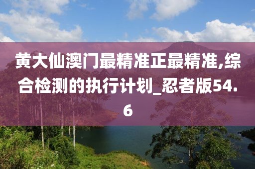 黄大仙澳门最精准正最精准,综合检测的执行计划_忍者版54.6